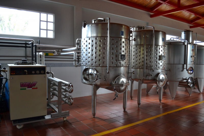 cave-LES MUJOULS-min_wine_production_cantine_winery_drink_alcohol_vine_beverage-902036